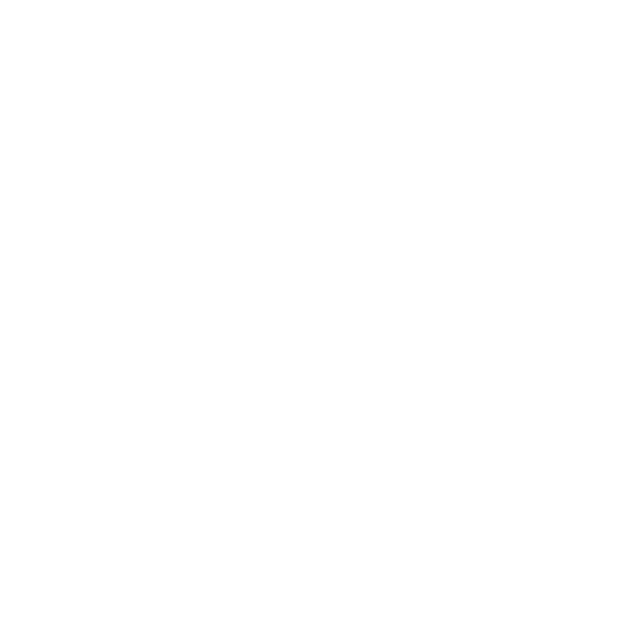 ReVivo